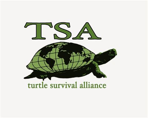 Turtle survival alliance - About the Turtle Conservation Fund. The Turtle Conservation Fund (TCF) was established in 2002 as a partnership initiative of Conservation International, IUCN Tortoise and …